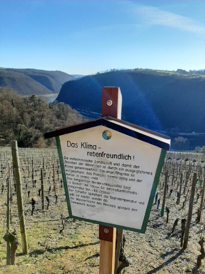 Auszeit Rheingauer Rosengasse Johannisberg Exterior foto